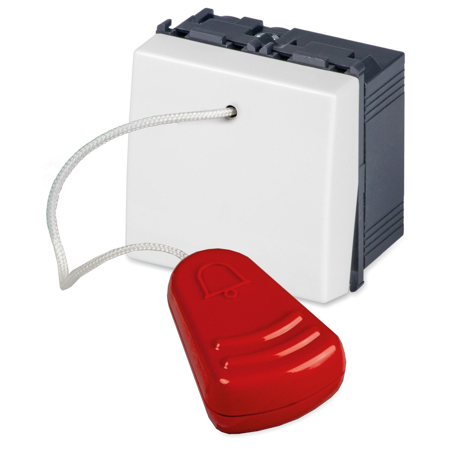 16A pushbutton with 2,25 m. cord 2 mod.