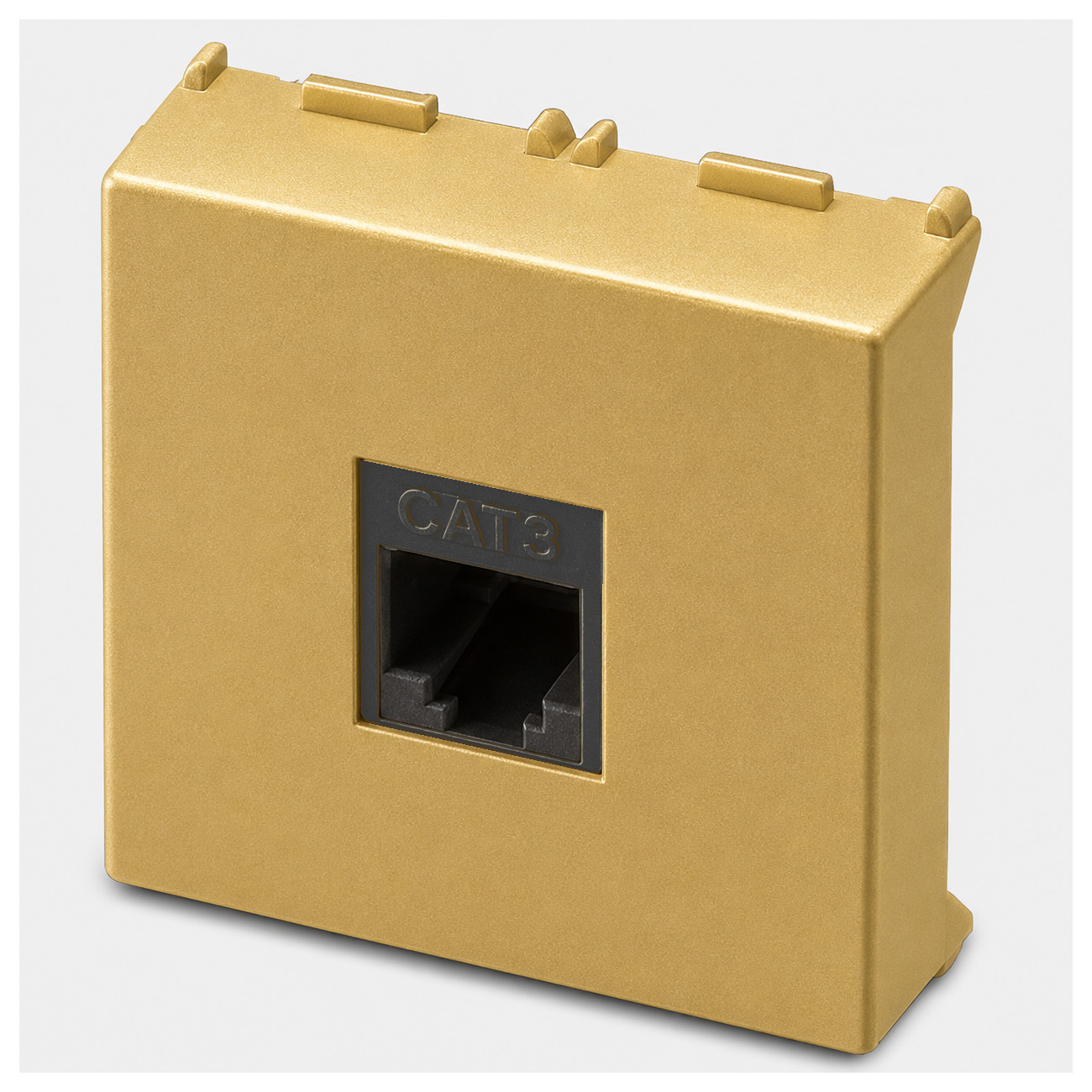 Prise RJ12 6P6C 2 modules Laiton