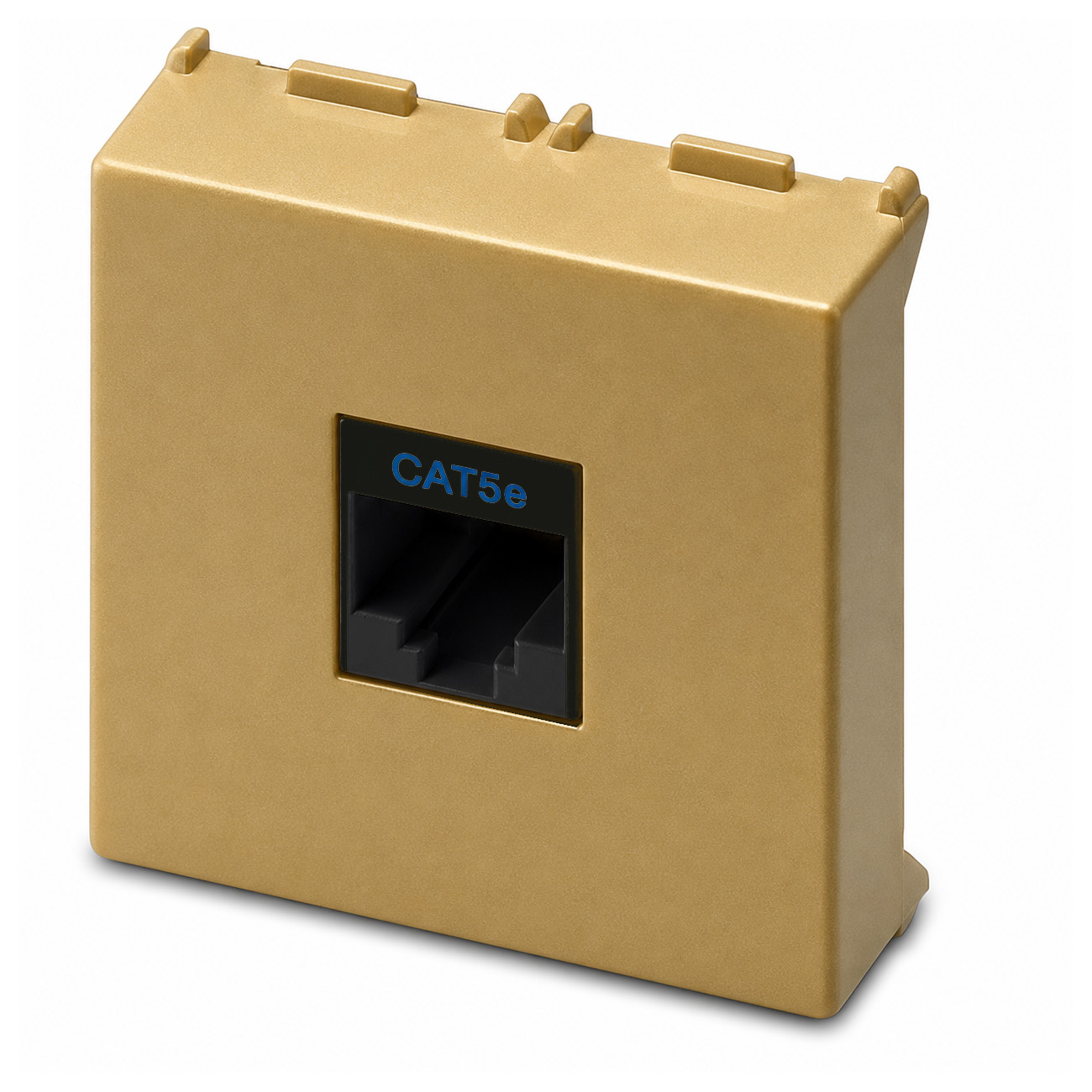 Prise RJ45 8P8C Cat.5e 2Mod. LAITON