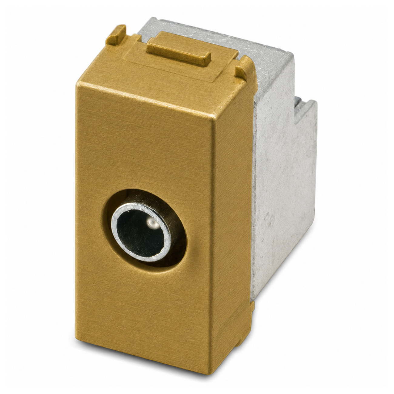Prise coaxiale IEC M Direct, laiton