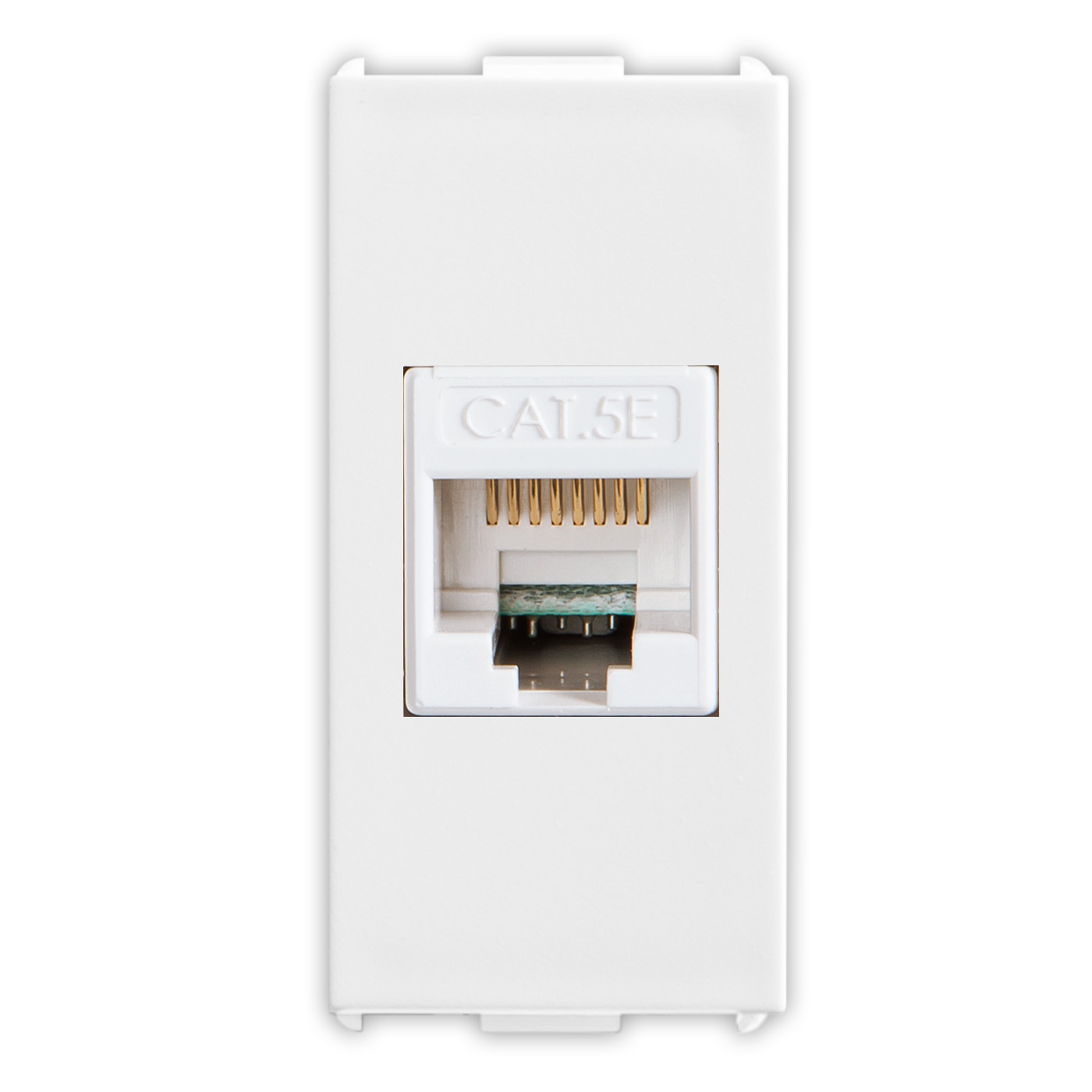 Prise RJ45 Plug 8-8 Blanc
