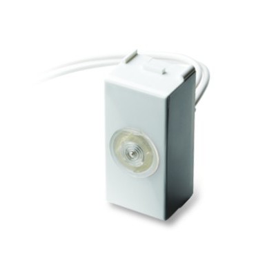 1 module white pilot light 127V